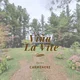 Viña La Vite
